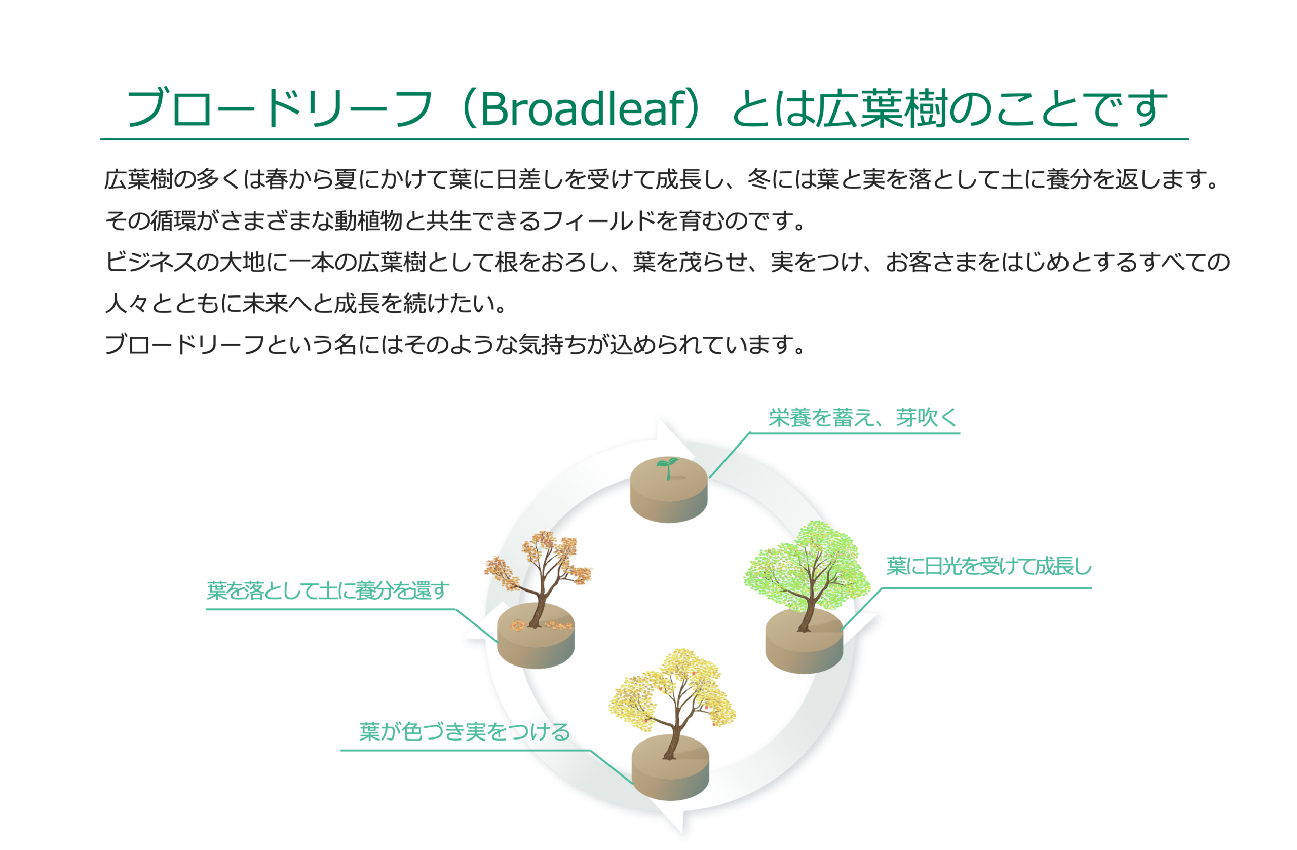 http://②企業紹介_ブロードリーフ