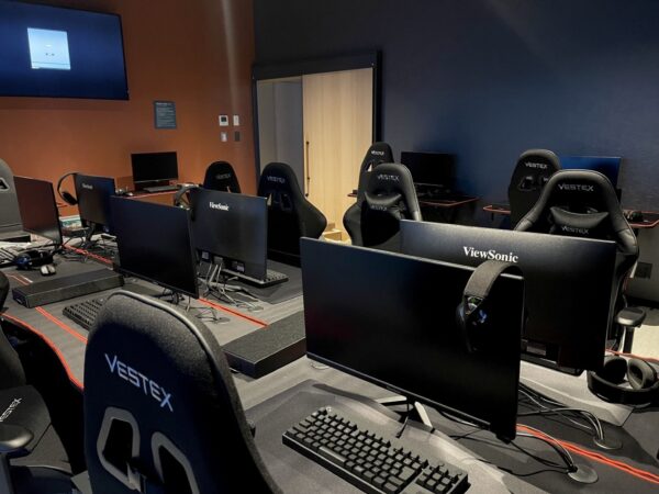 一般社団法人やまぐちeスポーツ協会